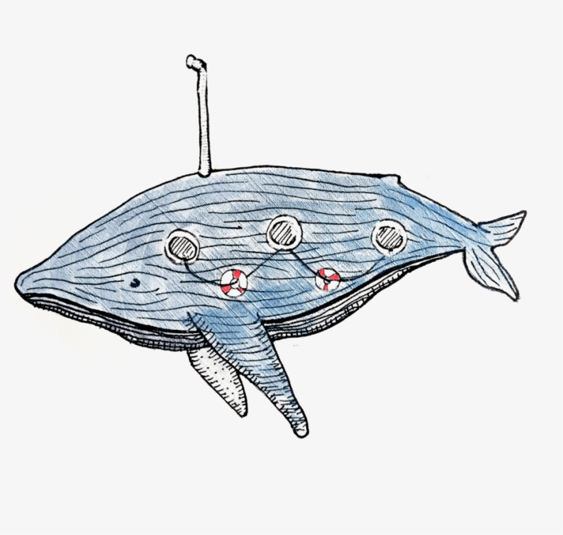 Whale - Shark, transparent png #3384863