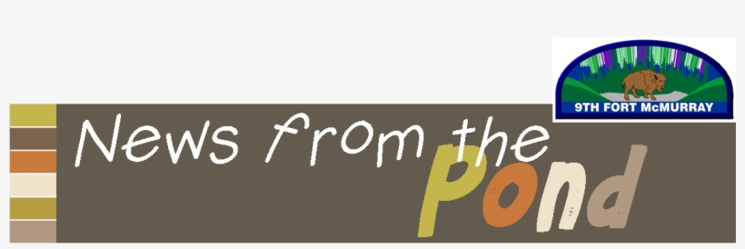 2016-17 Beavers - Calligraphy, transparent png #3385561