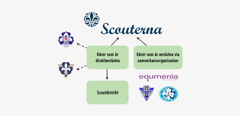 Så Är Kårerna Anslutna Till Scouterna - Scouterna, transparent png #3385824