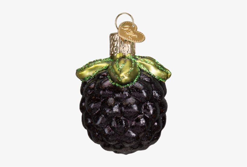 Blackberry Glass Ornament - Old World Christmas Pacific Blue Tang Tropical Fish, transparent png #3386138