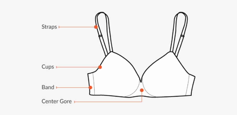 Does This Bra Fit Here's How To Know - Brassiere, transparent png #3387039