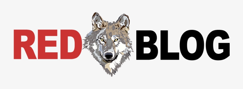 Red Wolf Blog - Grey Wolf Template Mousepad, transparent png #3387327