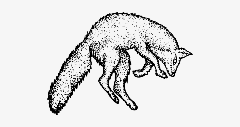 Icon Fox - Icon, transparent png #3387532