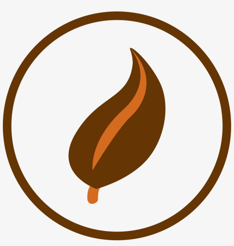 Research Related To Red Wolf Habitat - Red Wolf By Jennifer Ashley