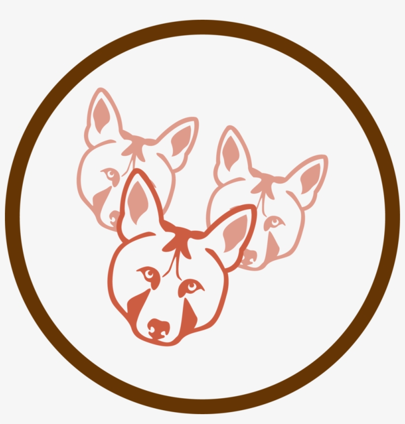 Research Related To Red Wolf Population & Survival - Ppp, transparent png #3387589