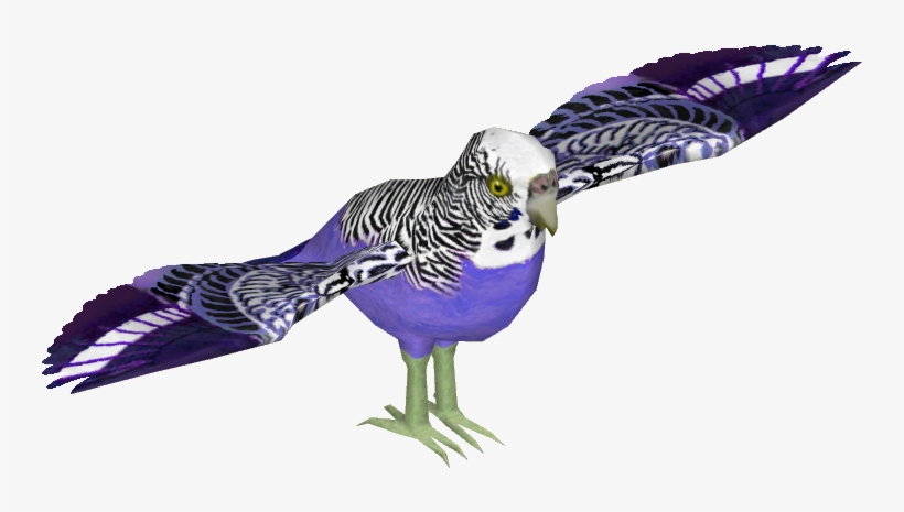 Budgie 10 - Macaw, transparent png #3388788