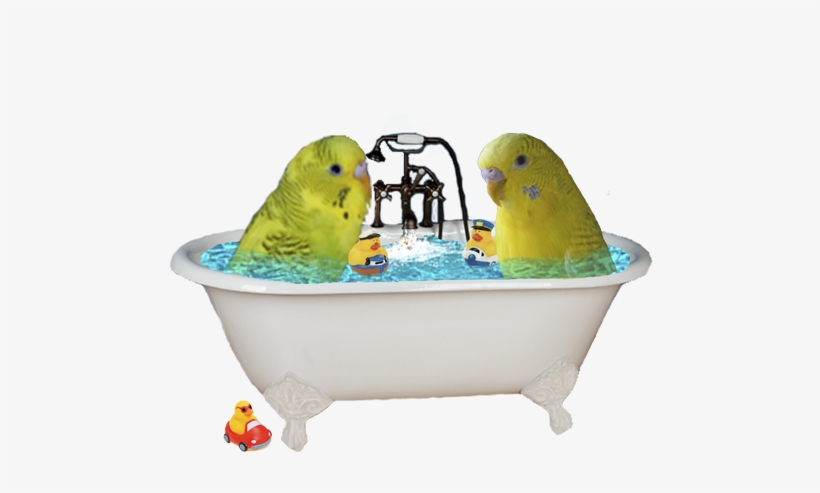 Report This Image - Bathtub, transparent png #3388807