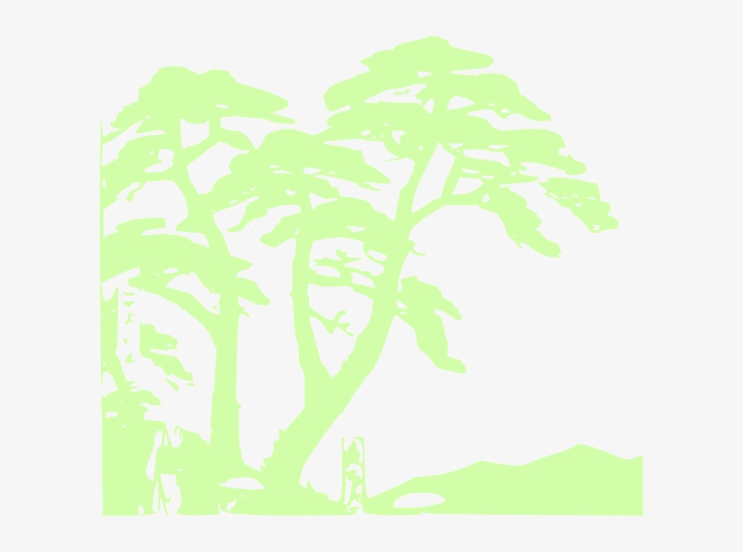 Small - Wildlife Tourism, transparent png #3388827