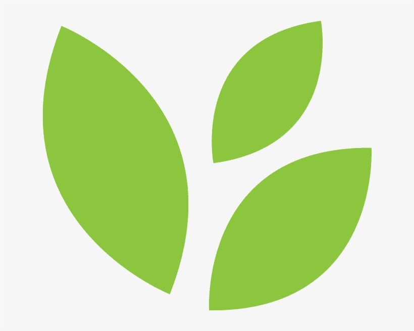 Learn About Rainforest Journey - Rainforest Icon, transparent png #3388829