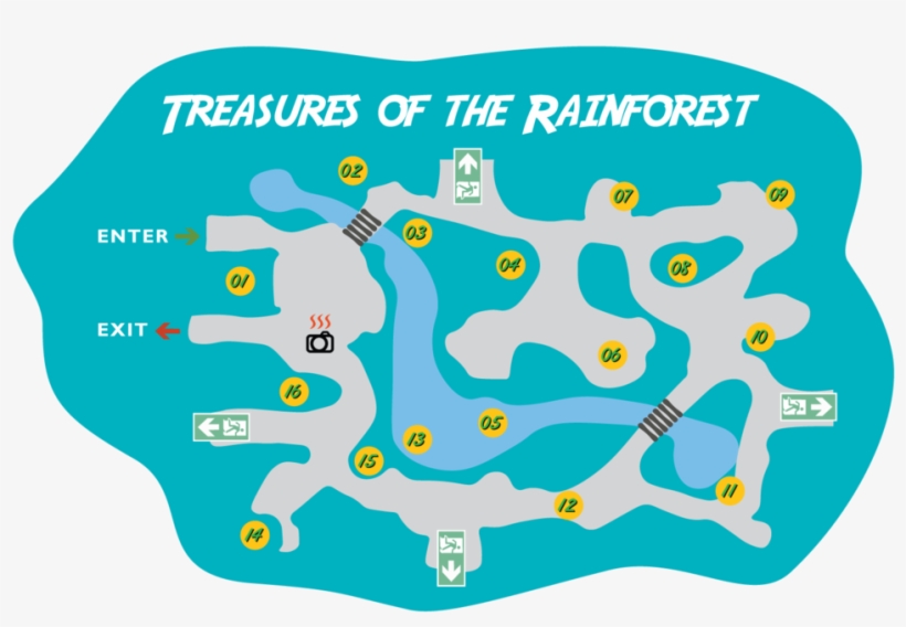 Treasures Of The Rainforest - Run Forest Run T Shirt, transparent png #3389031