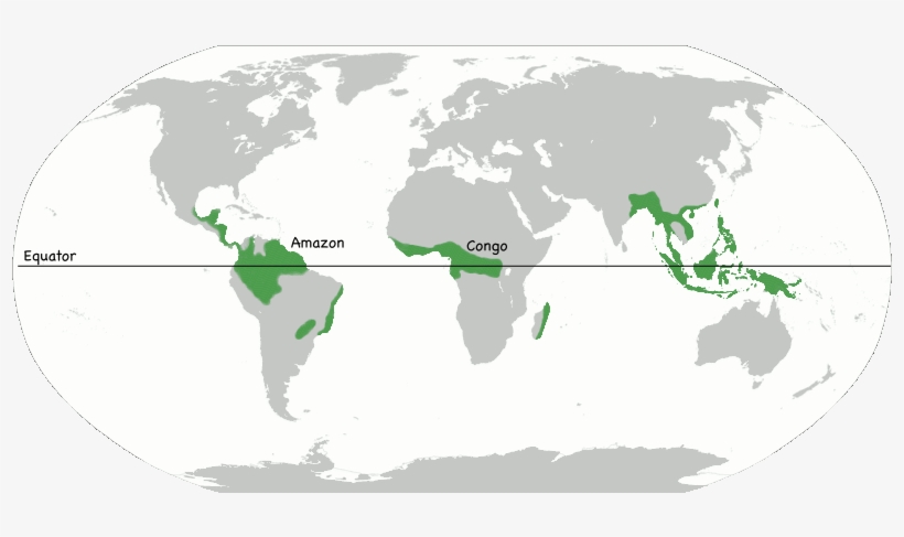 Rainforest - Amazon Forest Map World, transparent png #3389239
