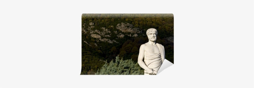 Aristotle Statue Located At Stageira Of Greece Wall - Aristote, transparent png #3389650