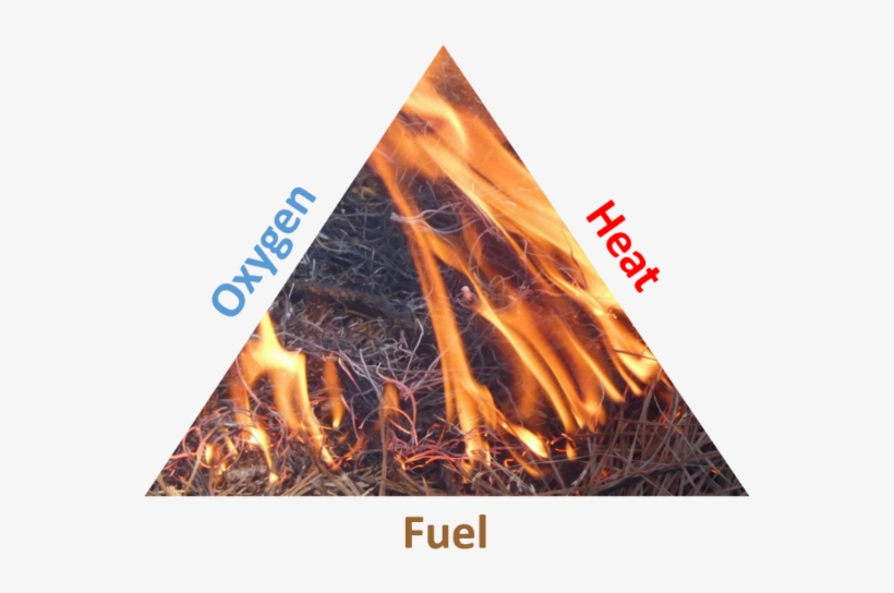 Fire Triangle - Alabama Cooperative Extension System, transparent png #3389921