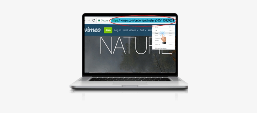 Vimeo Dt 1 - Vimeo, transparent png #3390224