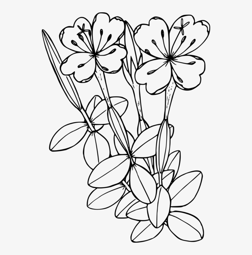 Floral Design Wildflower Flowering Plant - Free Wildflower Clipart Black And White, transparent png #3391784