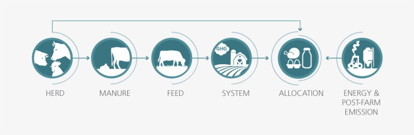 The Structure Of Gleam Consists Of Five Main Modules - Environmental Impact Assessment, transparent png #3392007