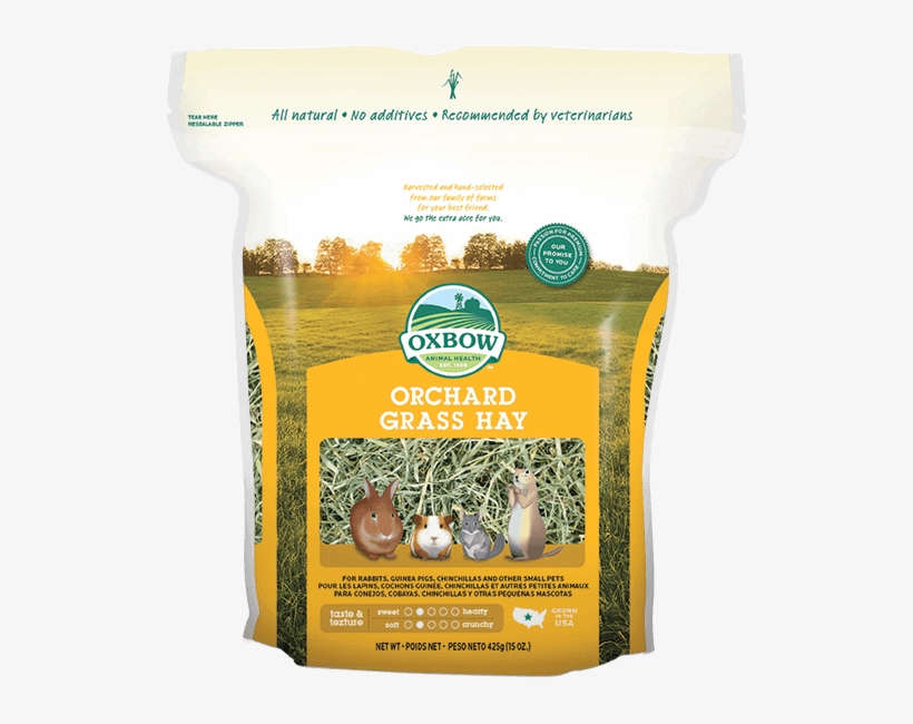 Oxbow Orchard Grass Hay 425g - Oxbow Orchard Hay, transparent png #3393071