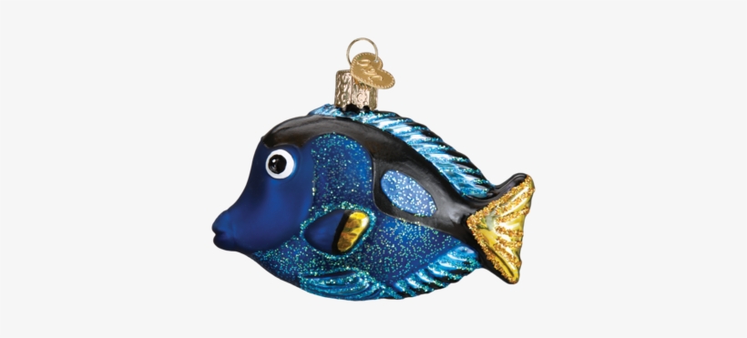 Pacific Blue Tang Ornament - Old World Christmas Pacific Blue Tang Tropical Fish, transparent png #3393073