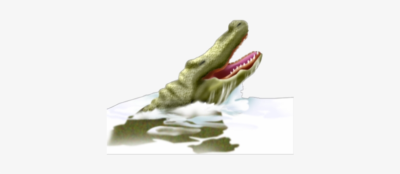 Alligator - Head - Nile Crocodile, transparent png #3393536