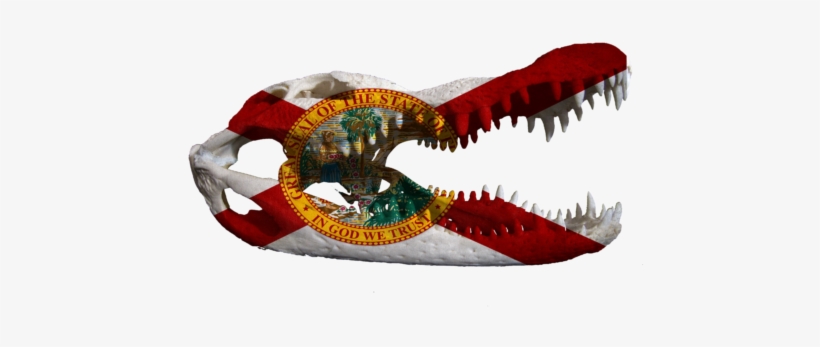 Gator Skull - Florida State Flag Tote Bag, transparent png #3393682