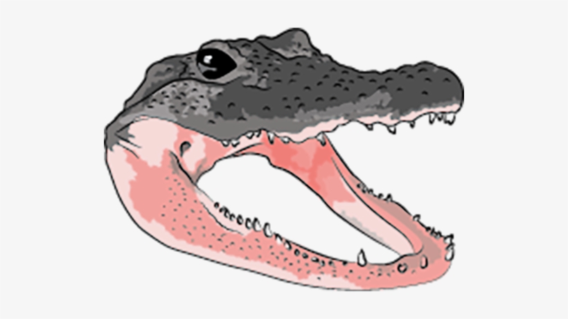 Many Teeth Are Missing, Though Many Remain, transparent png #3393845