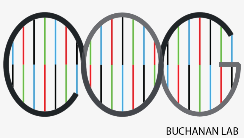 Colorectal Oncogenomics Group - House, transparent png #3393981