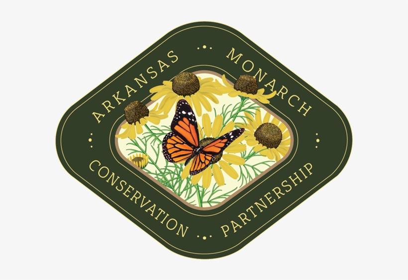 Arkansas Monarch Conservation Partnership Community, - Cafepress Butterfly Iphone 6 Tough Case, transparent png #3394176