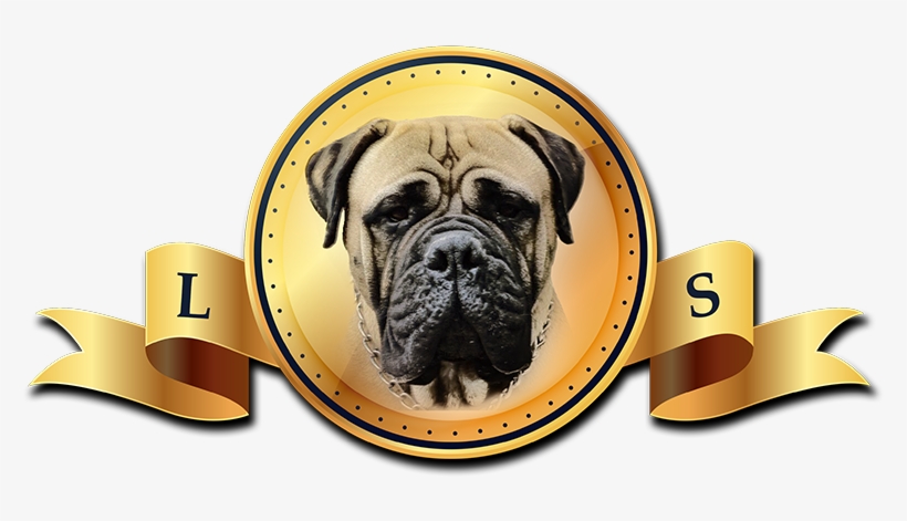 Leon's, transparent png #3396814