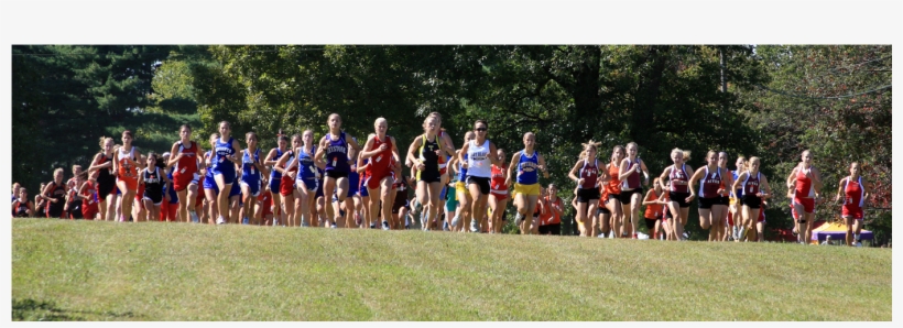 Galion Hosting Annual Cross Country Festival Sept - Galion Cross Country Festival 2016, transparent png #3398015