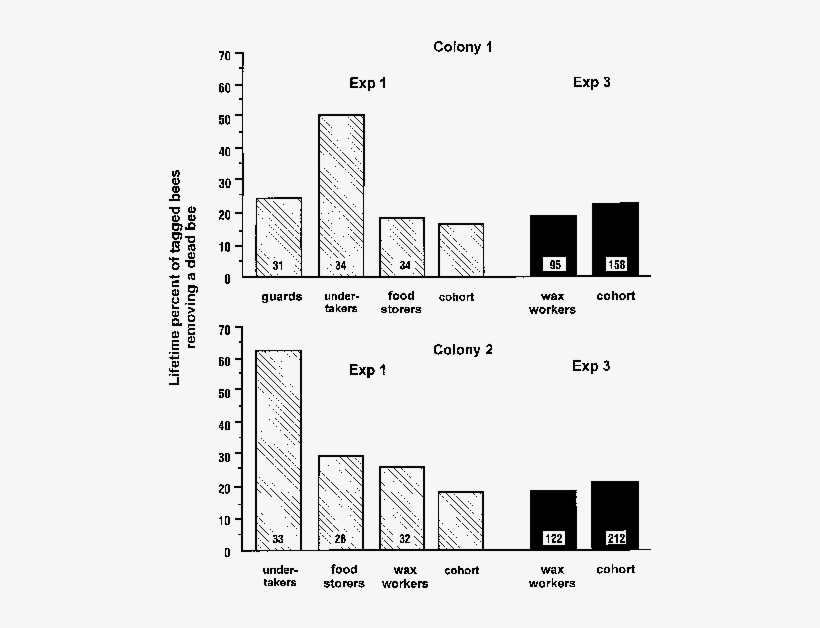 Percentage Of Bees In Each Task Group That Removed - Diagram, transparent png #3398195