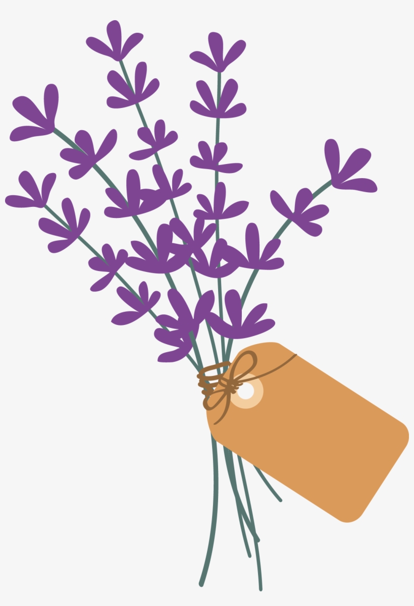 Lavender Bunch - Lavender, transparent png #3399760
