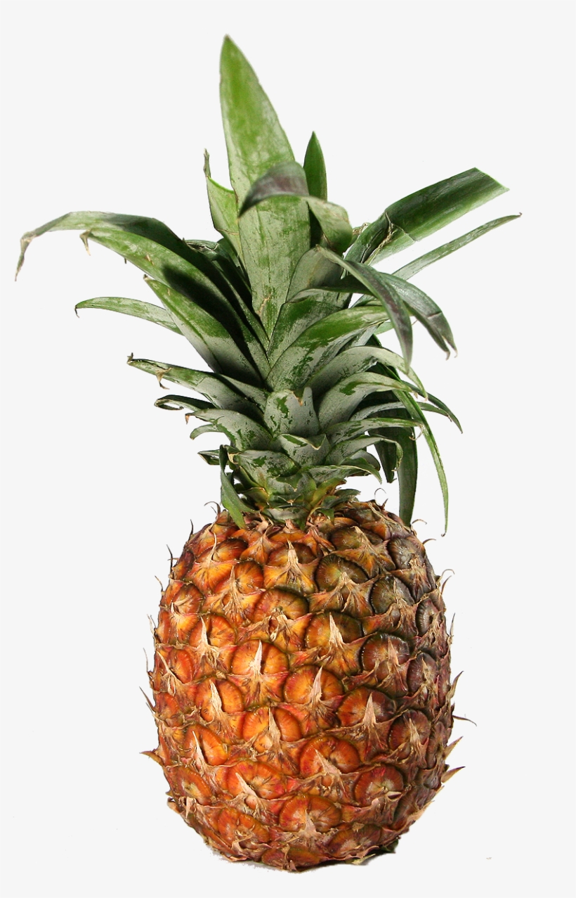 02-trans, transparent png #3399857
