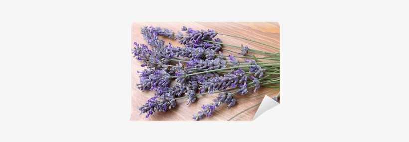 Lavender, transparent png #3399932