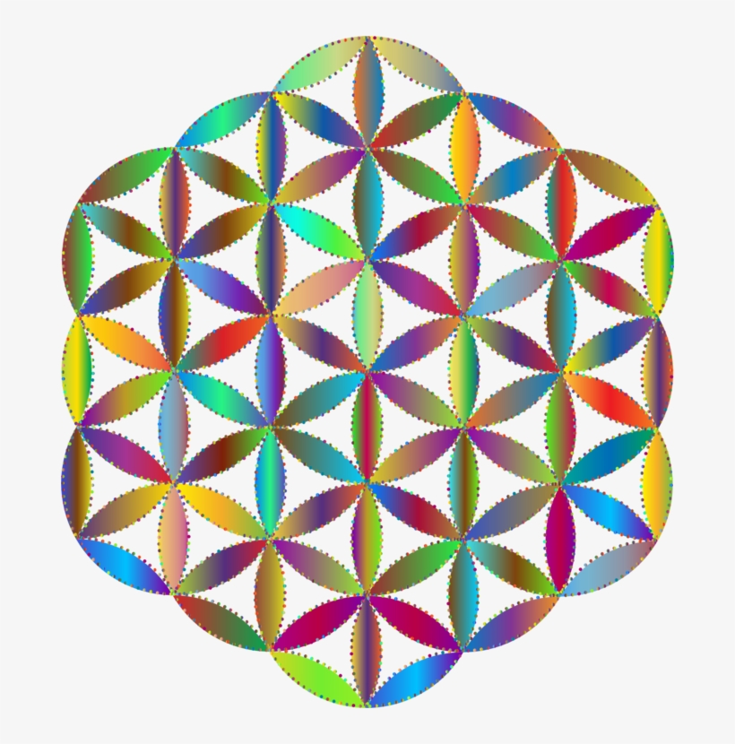 Overlapping Circles Grid Sacred Geometry Symbol Ornament - Flower Of Life Sticker Kopen, transparent png #340515