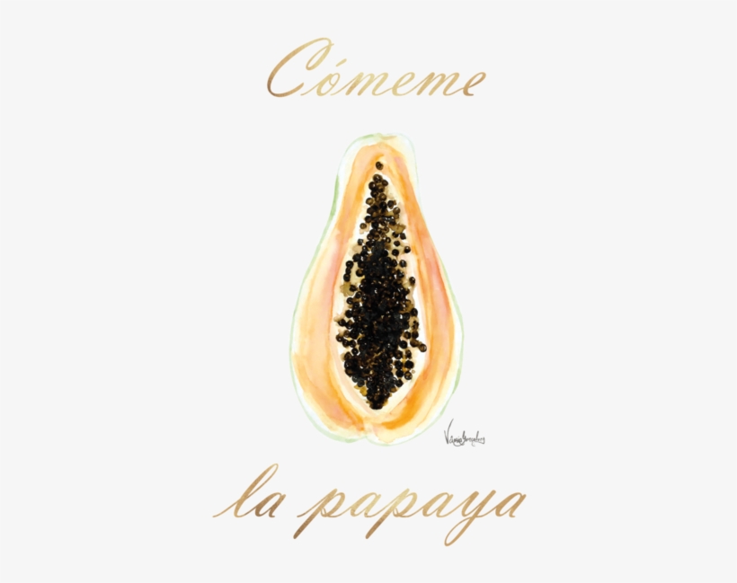 Watercolor And Gouache Illustrations - Aipem, transparent png #340567