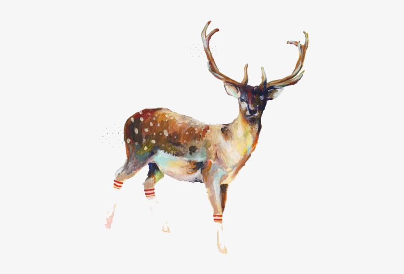 ♀ - Illustration Deer, transparent png #340937