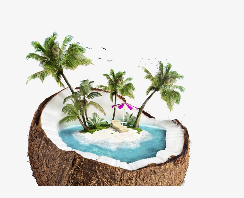 A Beach Inside Of A Coconut - Pronto Soccorso Naturale Per L'estate, transparent png #341222