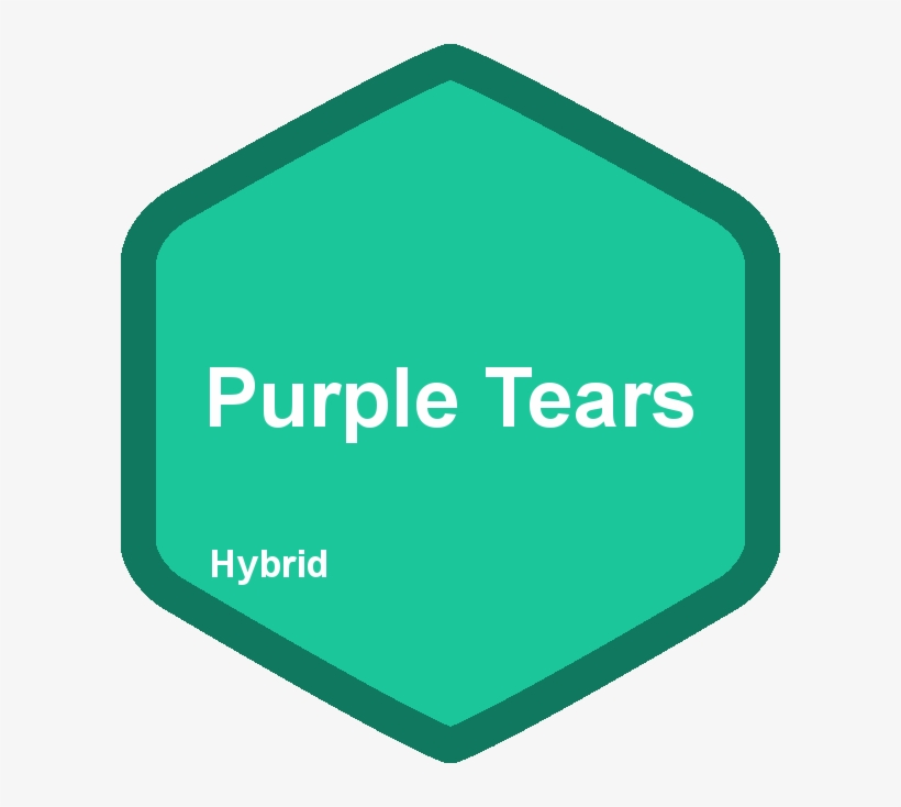 Purple Is A Fruit, transparent png #341258