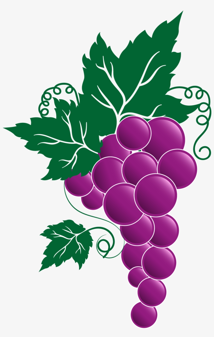 Grape Png Transparent Free Images - Transparent Grape Vine Clipart, transparent png #341488