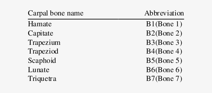Abbreviations For Carpal Bone - Missouri, transparent png #341626