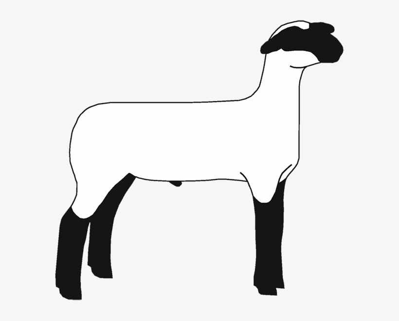 Sheep Png Images Transparent Free Download - Show Sheep Silhouette, transparent png #341801