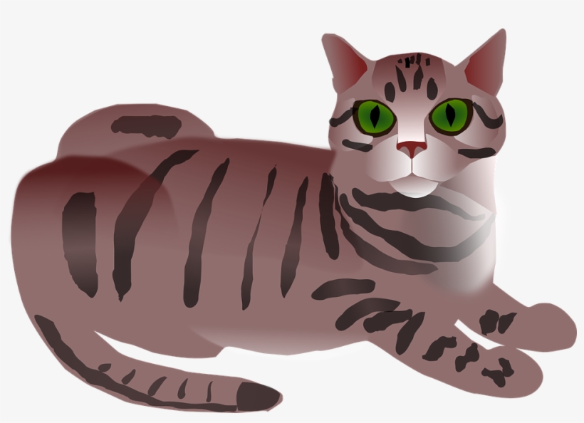 Calico Cat Kitten Tabby Cat Clip Art - Tabby Cat Clipart, transparent png #341905
