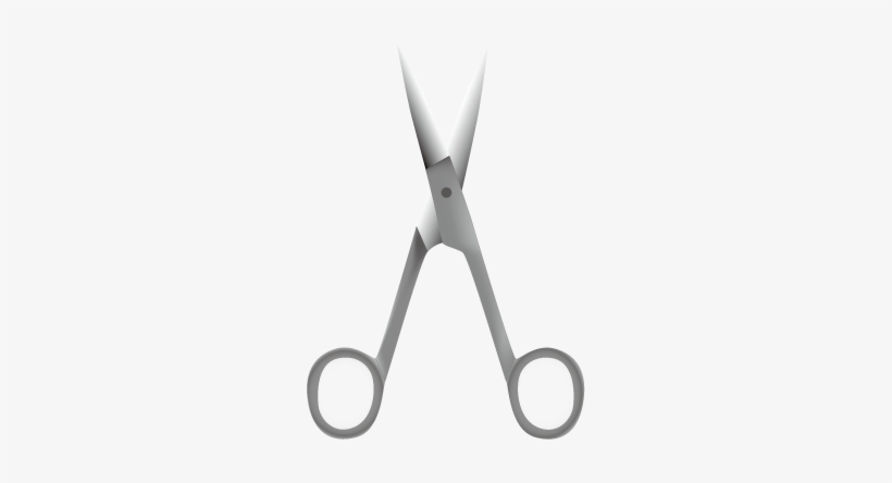 Dissecting Scissors - Scissors, transparent png #341955