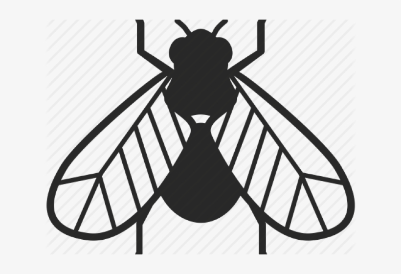 Drawn Glitch Winged Insect - Insect, transparent png #342332