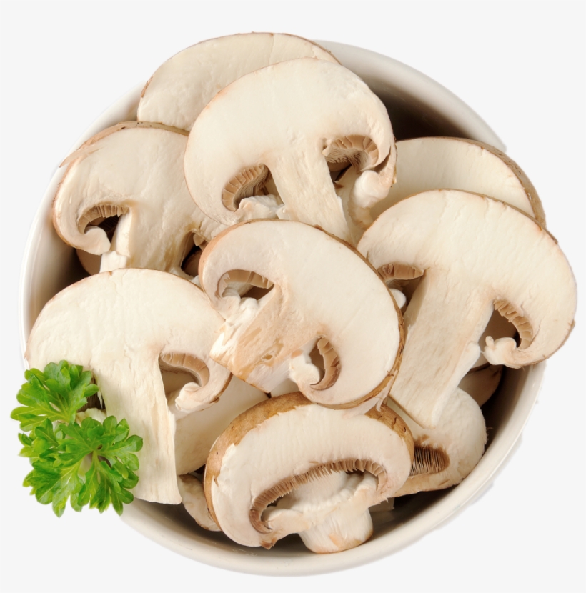 Mushrooms Clipart Wallpaper - Mushroom, transparent png #342410
