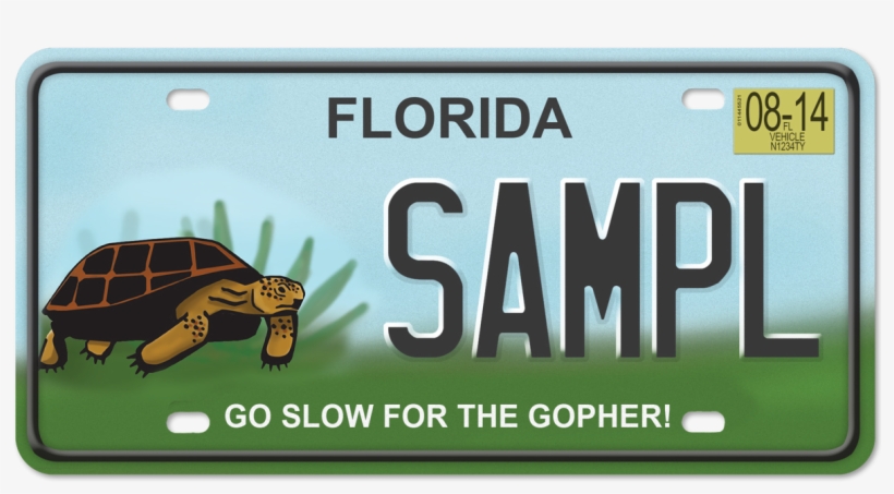 Gt Plate - Tampa Bay Buccaneers, transparent png #342802
