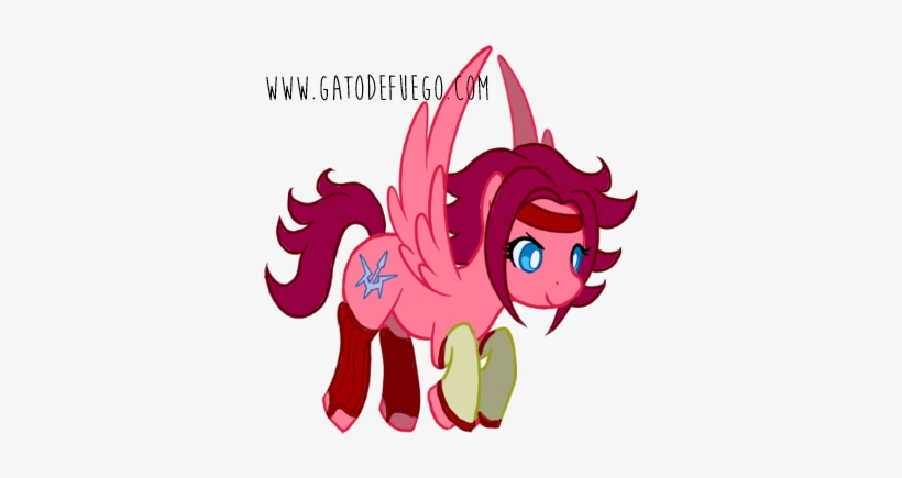 Cat, transparent png #342823
