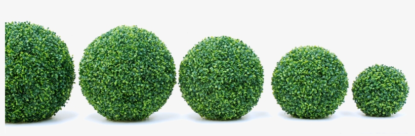 The Property Butler - Artificial Topiary Boxwood Ball, Small, Home &, transparent png #342862