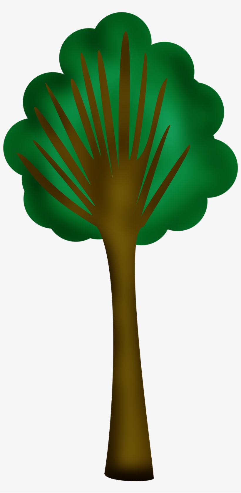 Asafoetida - Sabal Minor, transparent png #343739