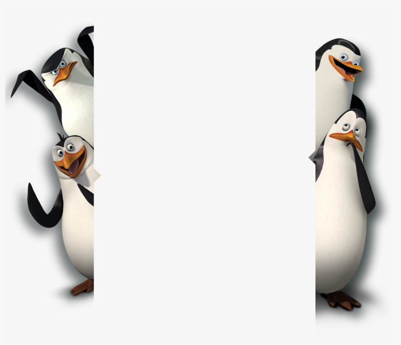 Madagascar Penguins Png - Penguins Of Madagascar Background, transparent png #344154